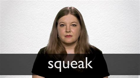 squeak pronunciation|how to spell sqeak.